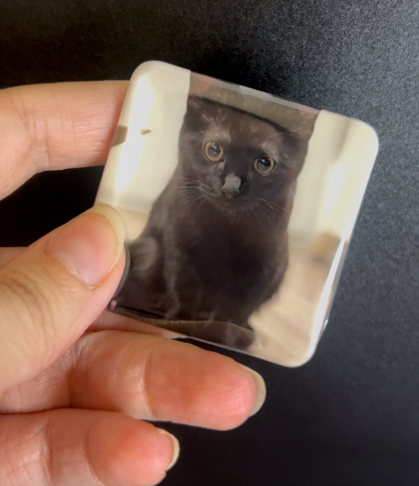 Handmade Custom Photo Magnet Sets