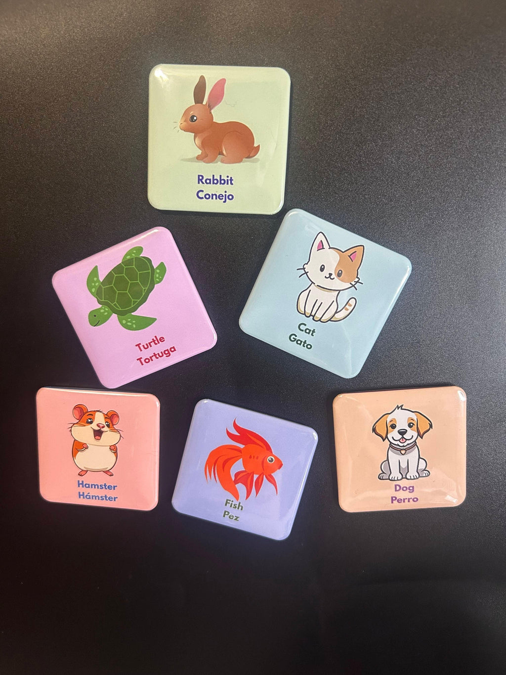 Bilingual Basics: House Pets in Spanish