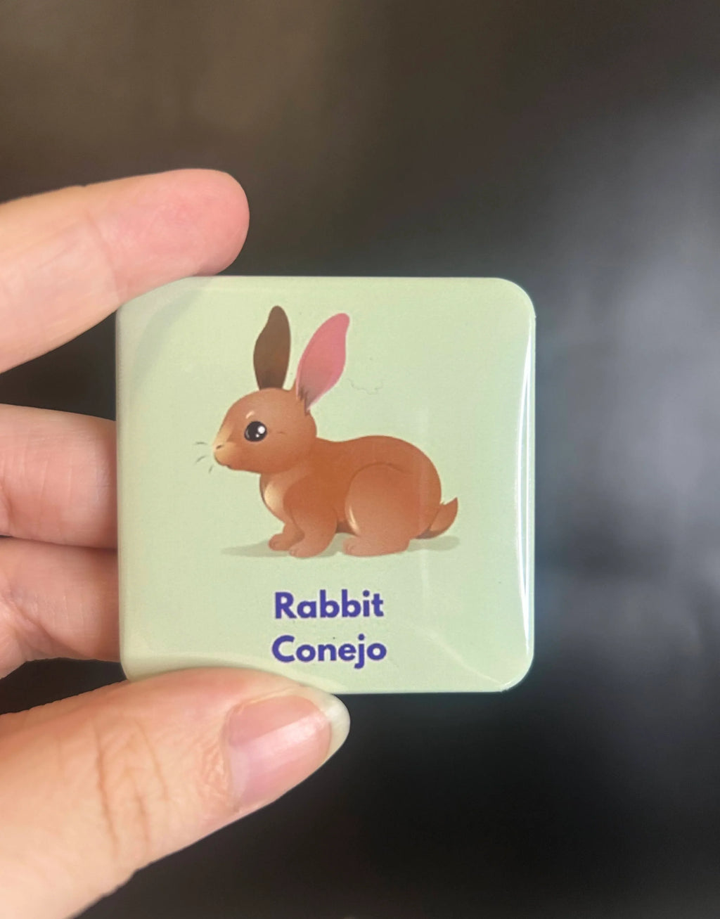 Bilingual Basics: House Pets in Spanish