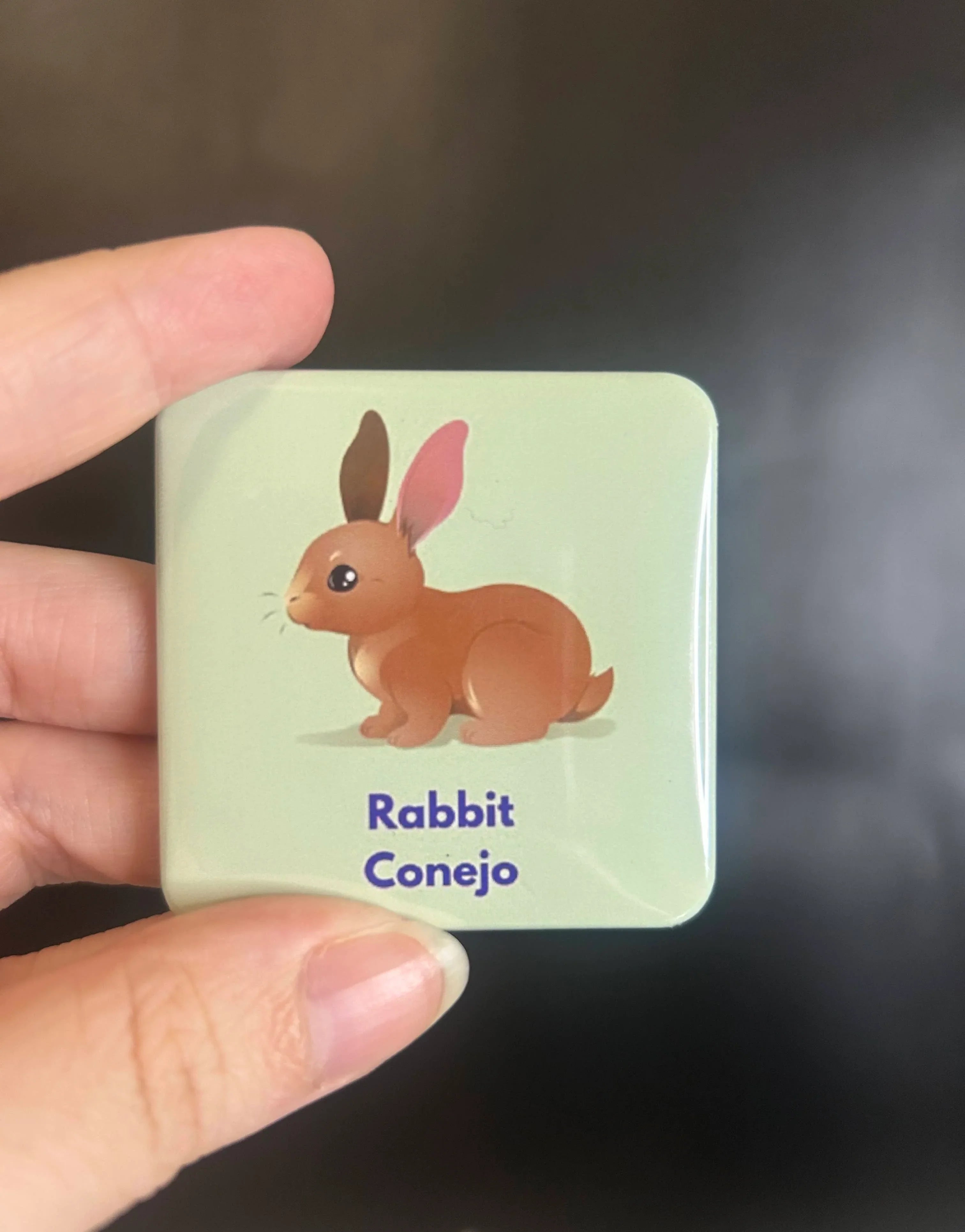 Bilingual Basics: House Pets in Spanish