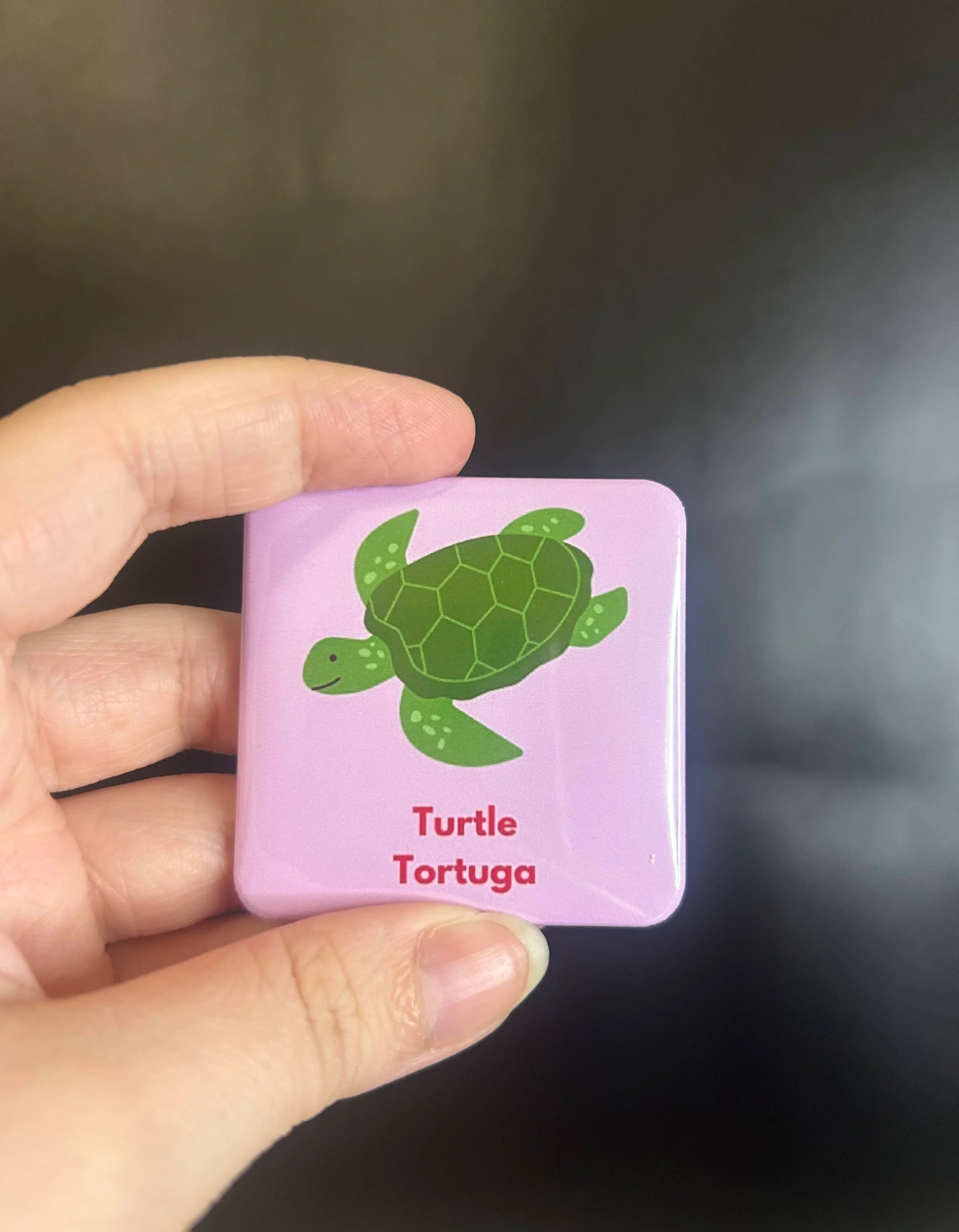 Bilingual Basics: House Pets in Spanish